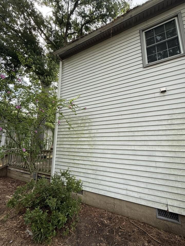 House siding covered in a green algae film before washing