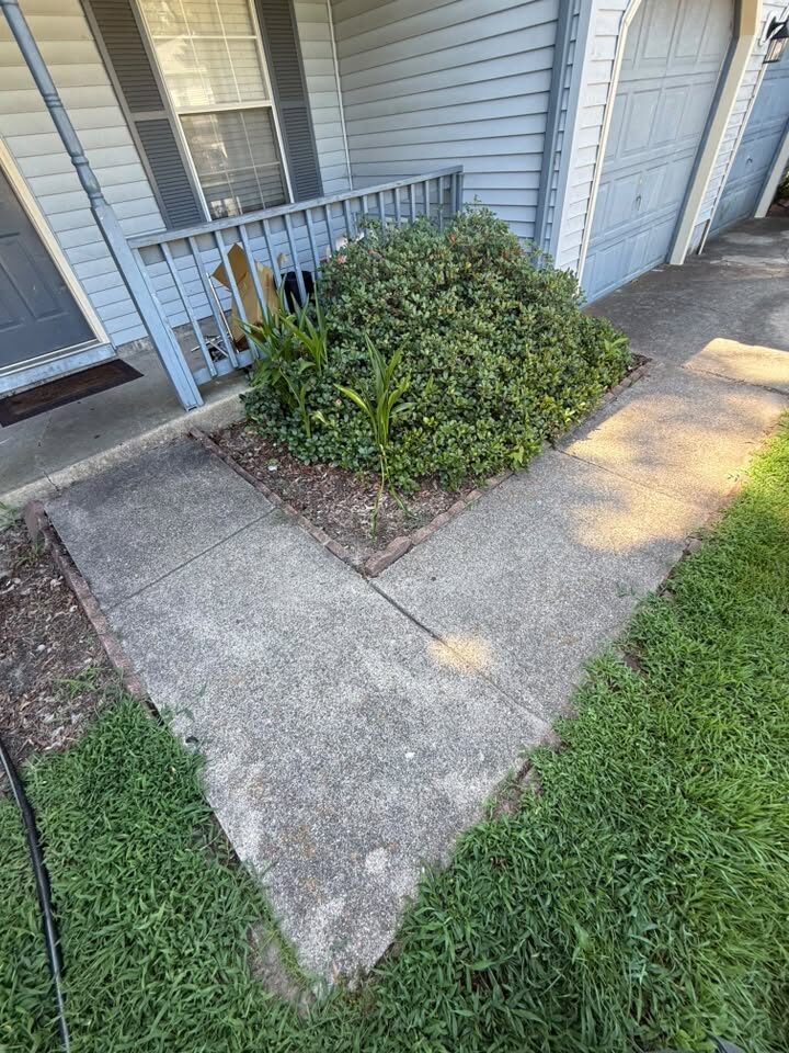Front sidewalk dulled grey with dirt and mildew before cleaning